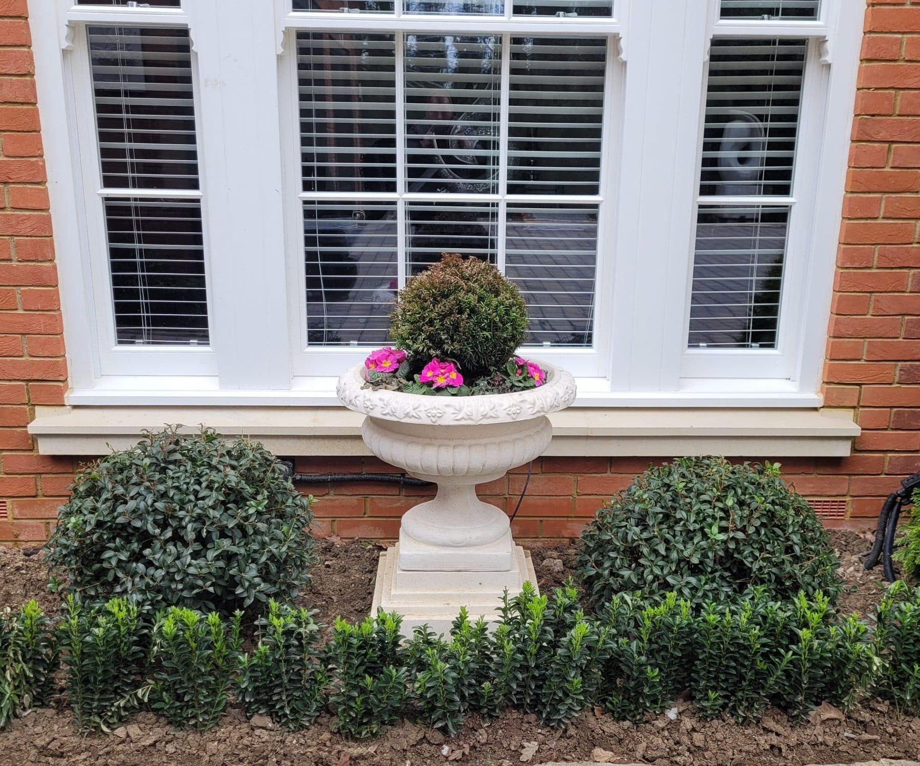 Victorian stone urn on a Regis plinth planted with a box ball in front of a window